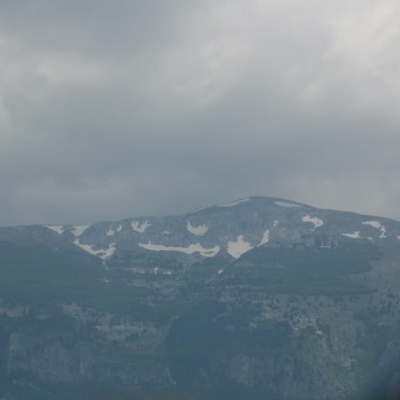 Gralis Bild