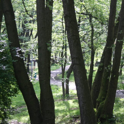 Gralis Bild
