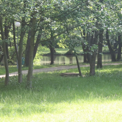 Gralis Bild