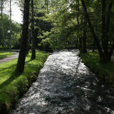 Gralis Bild