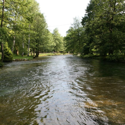 Gralis Bild