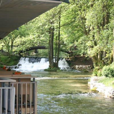Gralis Bild