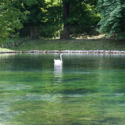 Gralis Bild