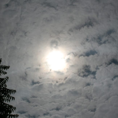 Gralis Bild