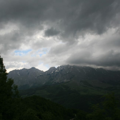 Gralis Bild