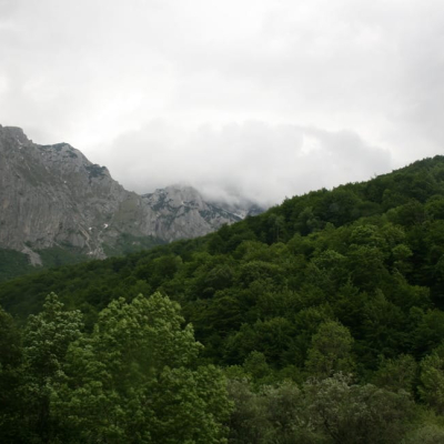 Gralis Bild
