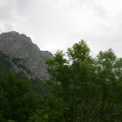 Gralis Bild
