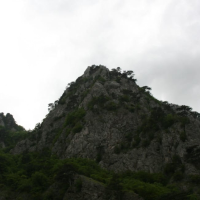 Gralis Bild