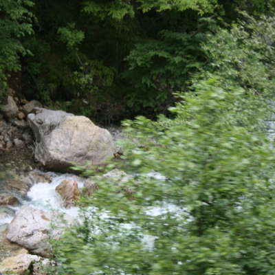 Gralis Bild