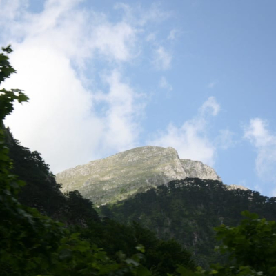 Gralis Bild