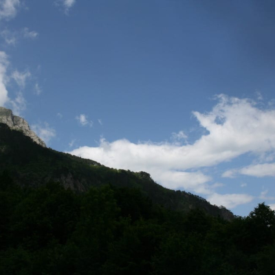 Gralis Bild