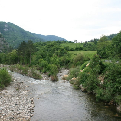 Gralis Bild