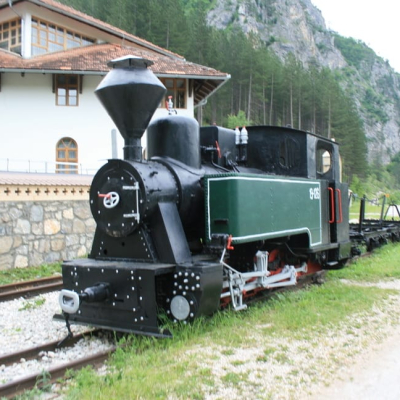 Gralis Bild