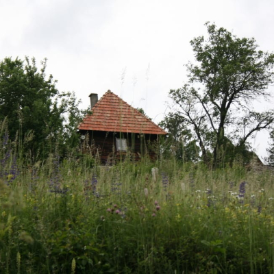 Gralis Bild