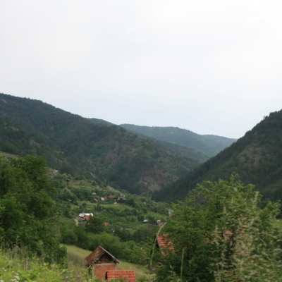 Gralis Bild