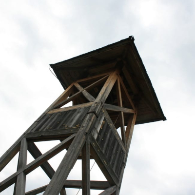 Gralis Bild