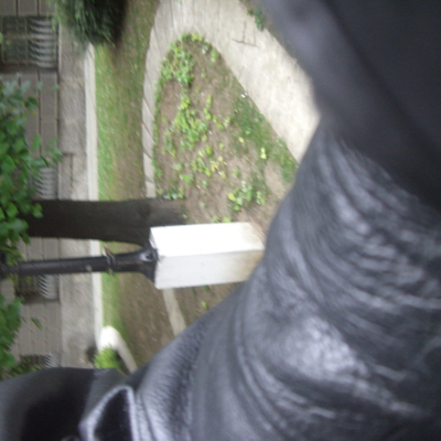 Gralis Bild