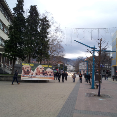Gralis Bild