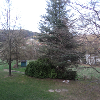Gralis Bild