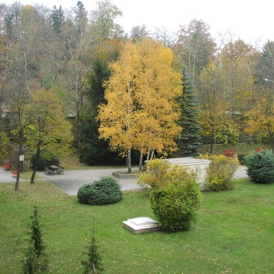 Gralis Bild