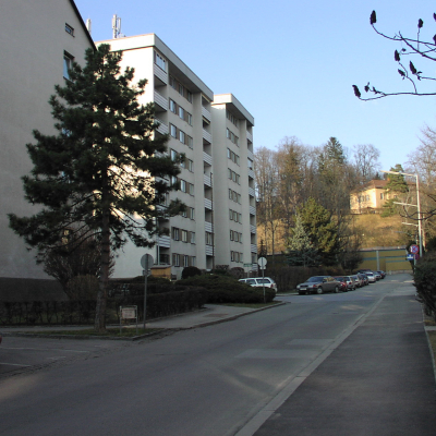 Gralis Bild