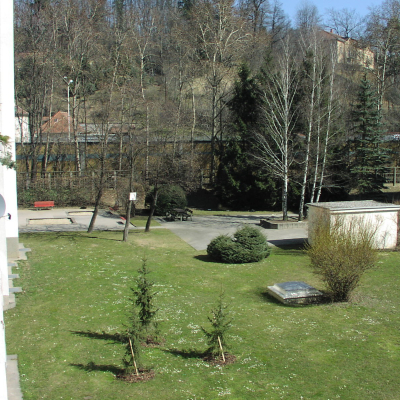 Gralis Bild