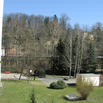 Gralis Bild