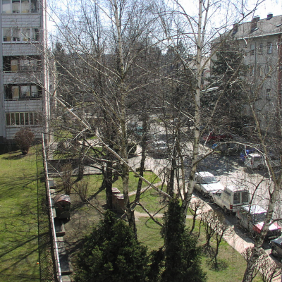 Gralis Bild