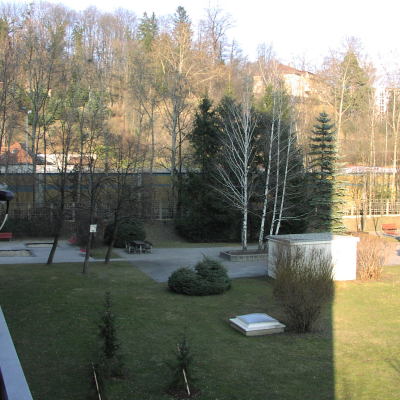 Gralis Bild