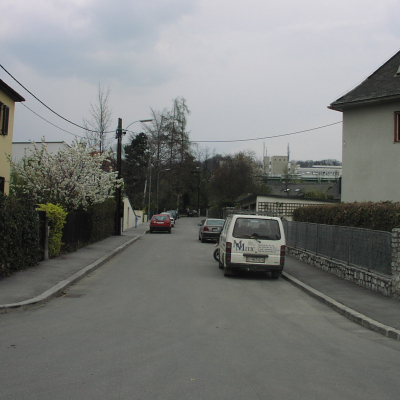 Gralis Bild