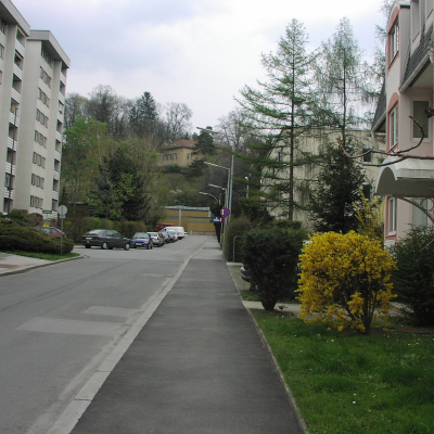 Gralis Bild
