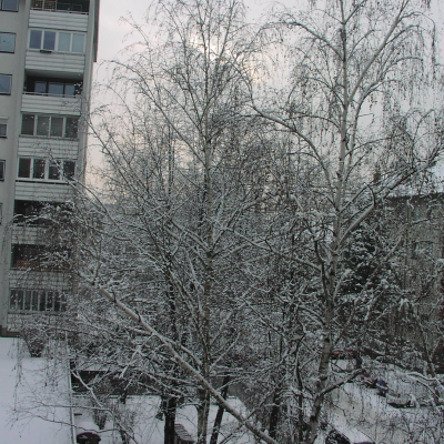 Gralis Bild