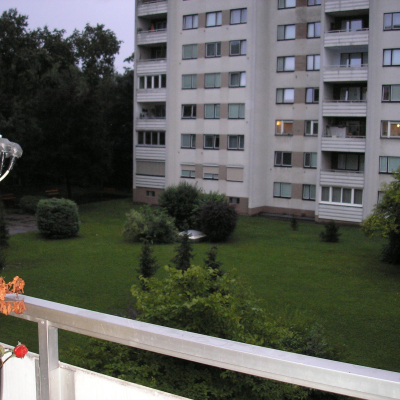 Gralis Bild
