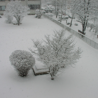 Gralis Bild