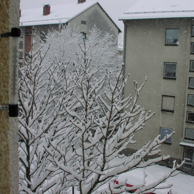 Gralis Bild
