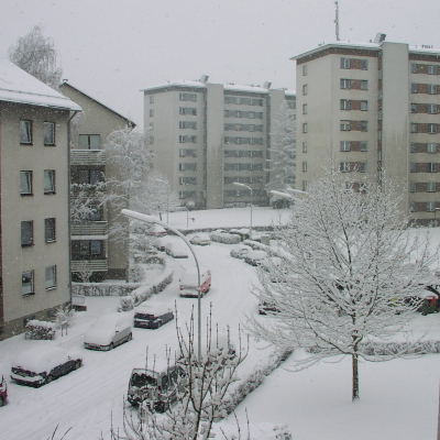 Gralis Bild