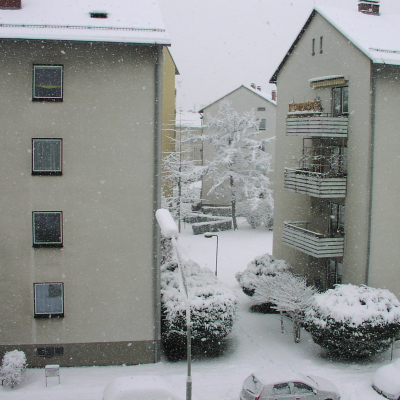 Gralis Bild