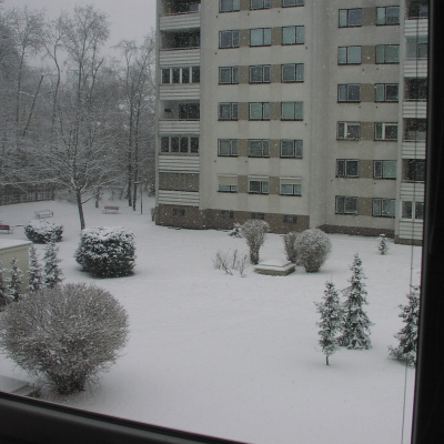 Gralis Bild