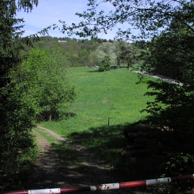 Gralis Bild