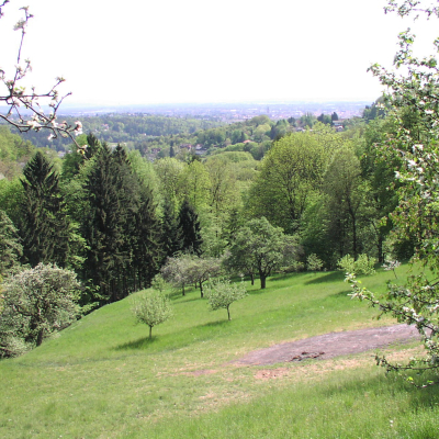 Gralis Bild