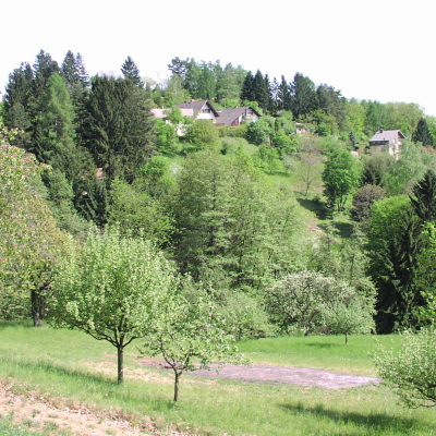 Gralis Bild