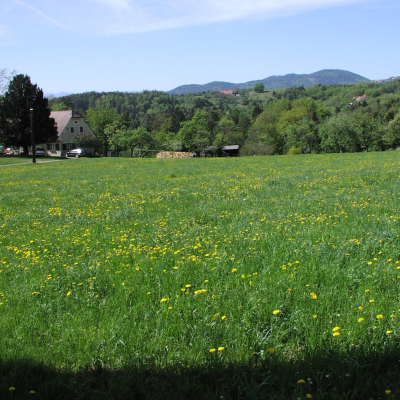 Gralis Bild