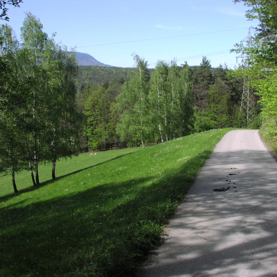 Gralis Bild