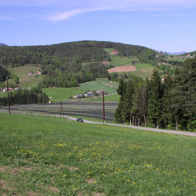 Gralis Bild