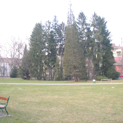 Gralis Bild