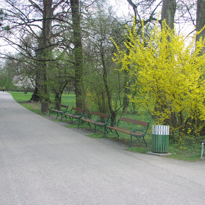 Gralis Bild