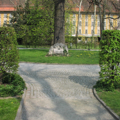 Gralis Bild