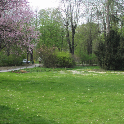 Gralis Bild
