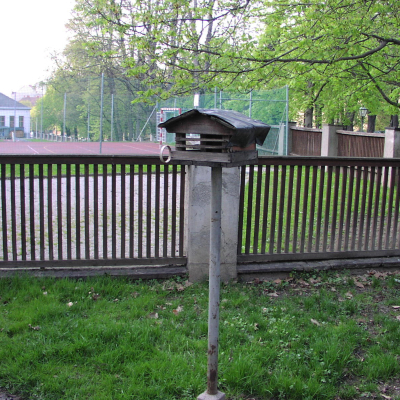 Gralis Bild