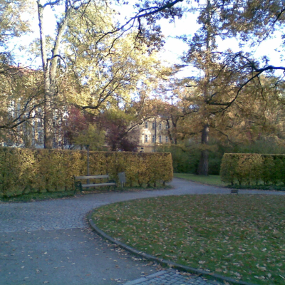Gralis Bild